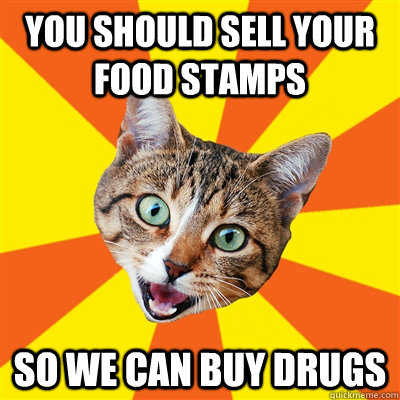 you should sell your food stamps so we can buy drugs - Bad Advice Cat