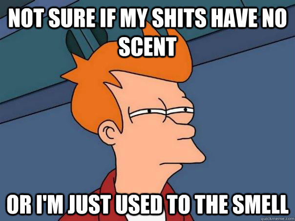 not sure if my shits have no scent or im just used to the s - Futurama Fry