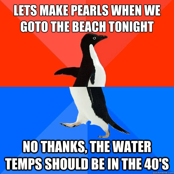 lets make pearls when we goto the beach tonight no thanks t - Socially Awesome Awkward Penguin