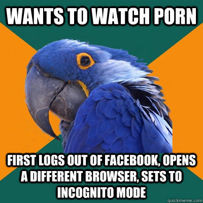 wants to watch porn first logs out of facebook opens a diff - Paranoid Parrot