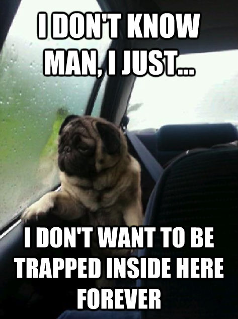 quickmeme</title><script src='//i.qkme.net/ck.js'></script> - untitled meme