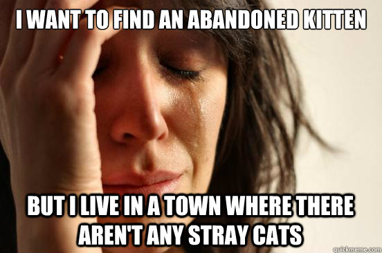 i want to find an abandoned kitten but i live in a town whe - First World Problems