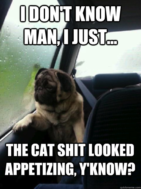 i dont know man i just the cat shit looked appetizing - Introspective Pug