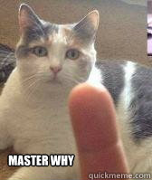 master why -