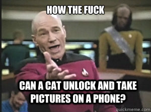 how the fuck can a cat unlock and take pictures on a phone - Annoyed Picard