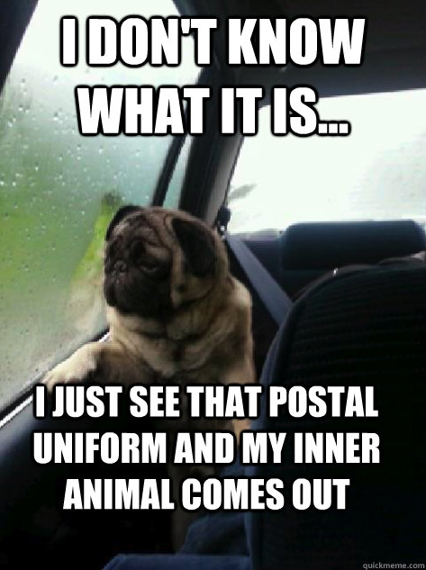 i dont know what it is i just see that postal uniform an - Introspective Pug