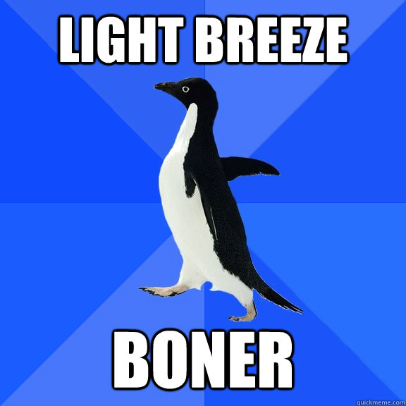 light breeze boner - Socially Awkward Penguin