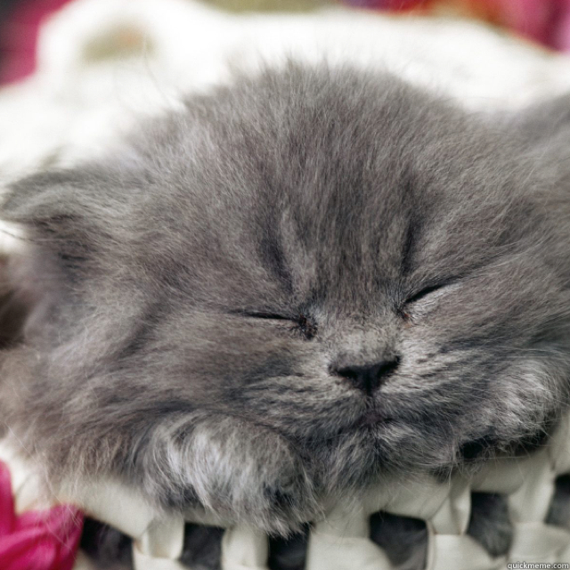 - I found this guy in my basket
