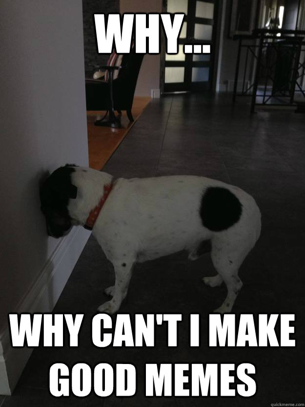 why why cant i make good memes -