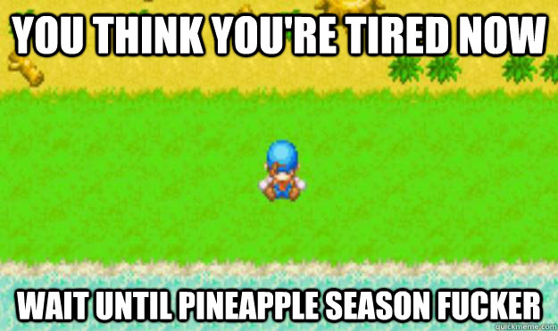 you think youre tired now wait until pineapple season fucke - Harvest Moon
