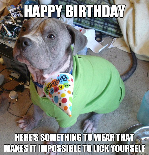 happy birthday heres something to wear that makes it imposs - Sad Birthday Dog