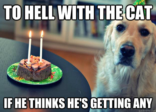 to hell with the cat if he thinks hes getting any - Sad Birthday Dog