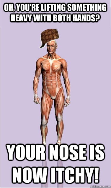 oh youre lifting something heavy with both hands your nos - Scumbag Body