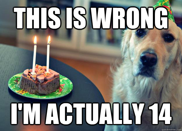 this is wrong im actually 14 - Sad Birthday Dog