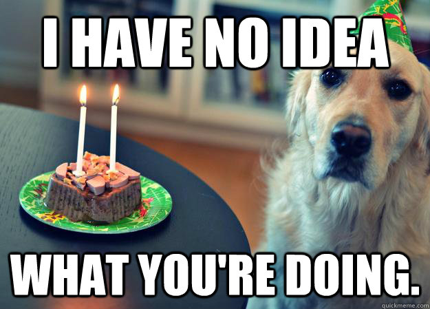 i have no idea what youre doing - Sad Birthday Dog