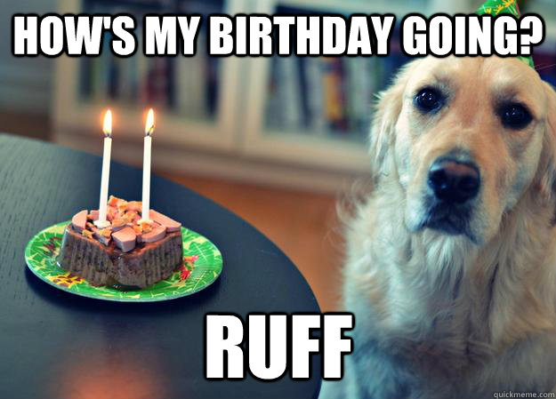 hows my birthday going ruff - Sad Birthday Dog