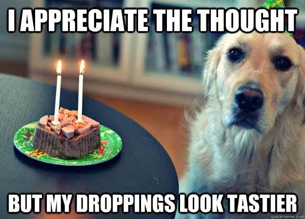 i appreciate the thought but my droppings look tastier - Sad Birthday Dog