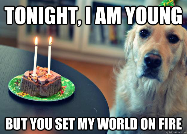 tonight i am young but you set my world on fire - Sad Birthday Dog