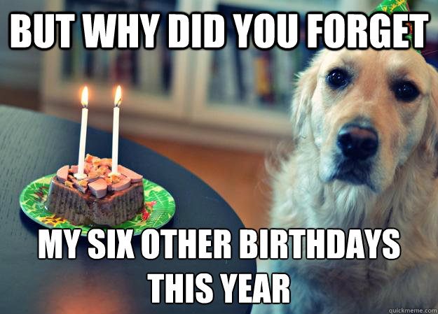 but why did you forget my six other birthdays this year - Sad Birthday Dog