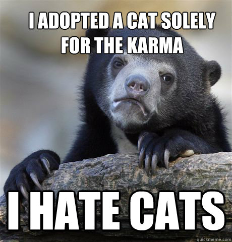 i adopted a cat solely for the karma i hate cats - Confession Bear