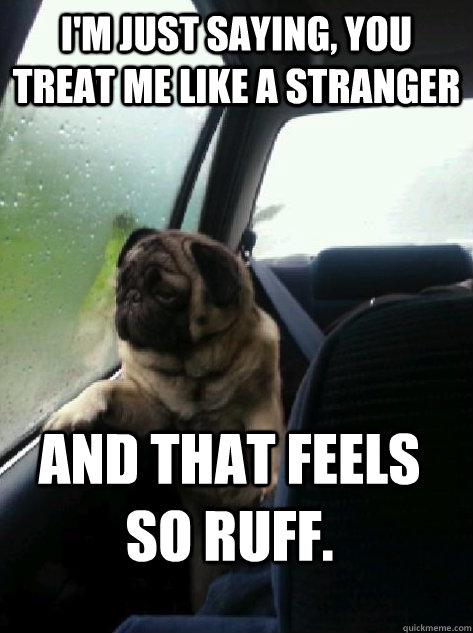im just saying you treat me like a stranger and that feels - Introspective Pug