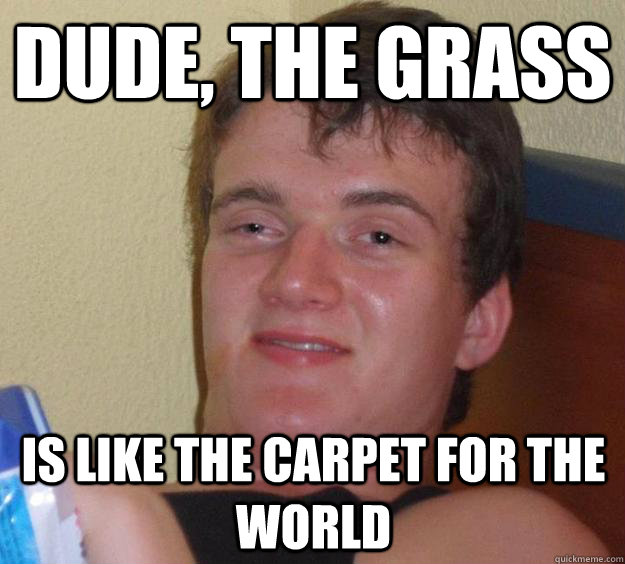 dude the grass is like the carpet for the world - 10 Guy