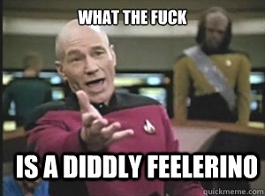 what the fuck is a diddly feelerino - Annoyed Picard
