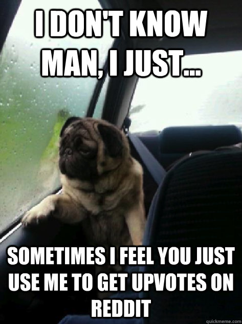 i dont know man i just sometimes i feel you just use me - Introspective Pug