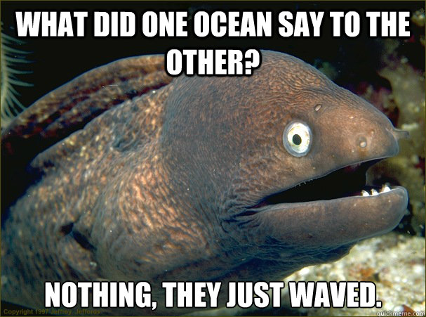 what did one ocean say to the other nothing they just wave - Bad Joke Eel