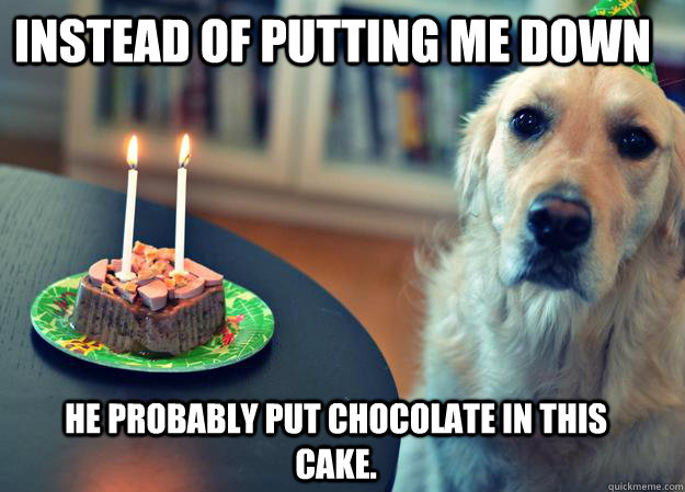instead of putting me down he probably put chocolate in this - Sad Birthday Dog