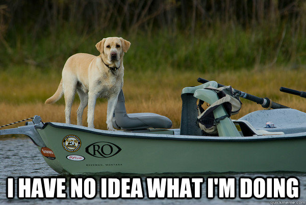 i have no idea what im doing - Fly Fishing Dog