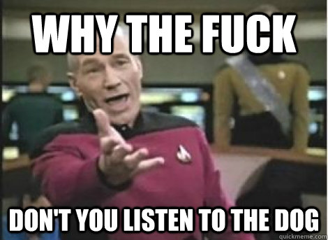 why the fuck dont you listen to the dog - ANNOYED PICARD