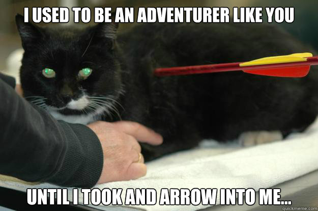 i used to be an adventurer like you until i took and arrow i - Skyrim Cat