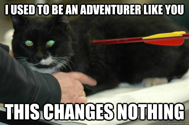 i used to be an adventurer like you this changes nothing - Worlds Toughest Cat