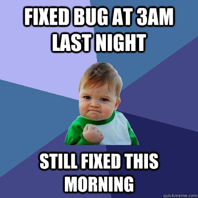 fixed bug at 3am last night still fixed this morning - Success Kid
