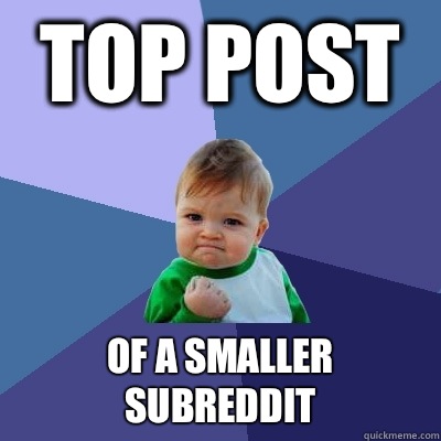 Top post Of a smaller subreddit - Success Kid