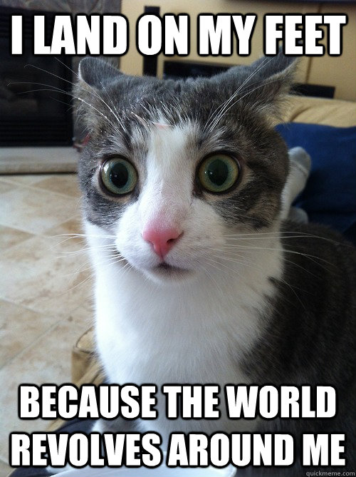 i land on my feet because the world revolves around me - Sudden Clarity Cat