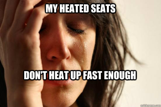 my heated seats dont heat up fast enough - First World Problems