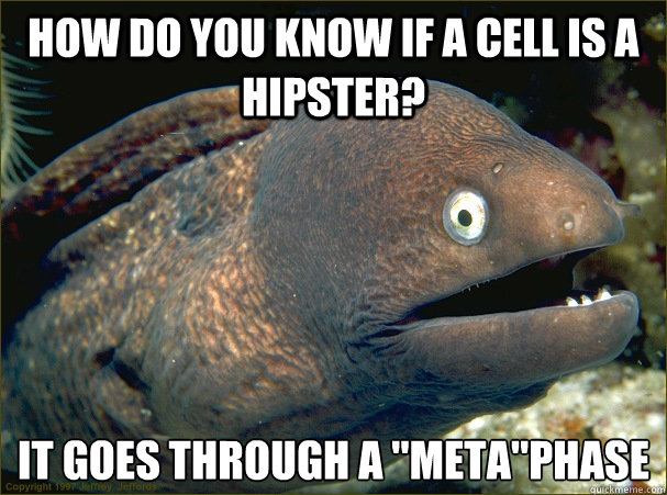 how do you know if a cell is a hipster it goes through a m - Bad Joke Eel