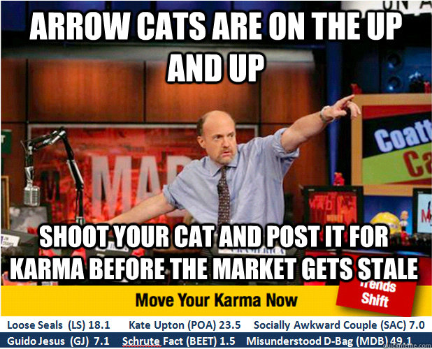 arrow cats are on the up and up shoot your cat and post it f - Jim Kramer with updated ticker