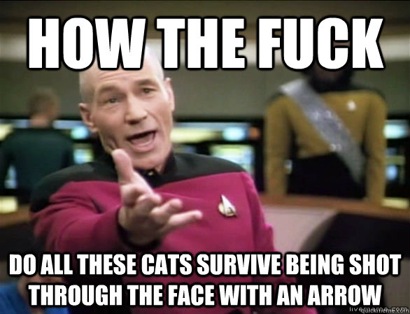 how the fuck do all these cats survive being shot through th - Annoyed Picard HD