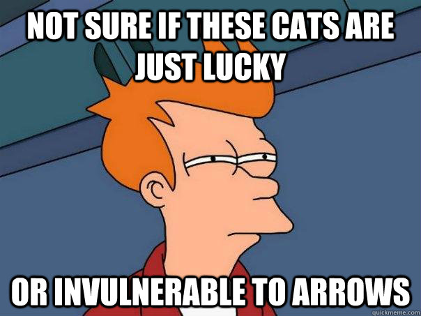 not sure if these cats are just lucky or invulnerable to arr - Futurama Fry