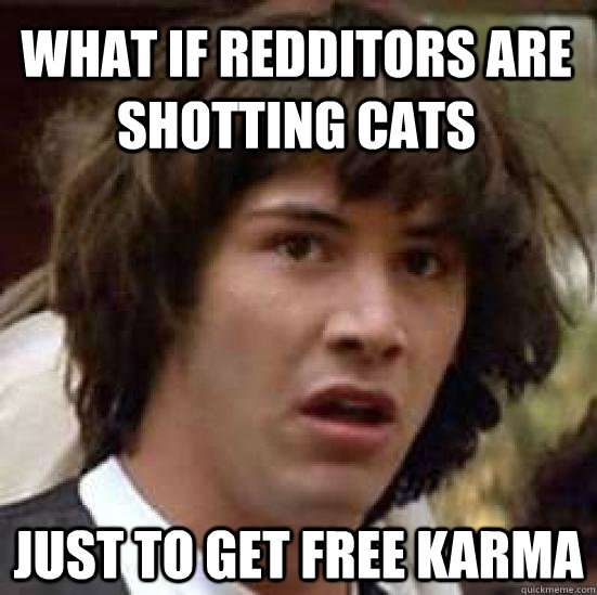 what if redditors are shotting cats just to get free karma - conspiracy keanu
