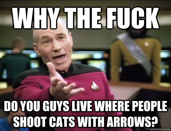 why the fuck do you guys live where people shoot cats with a - Annoyed Picard HD