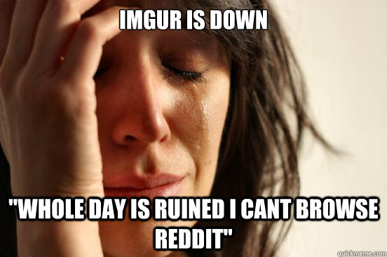 imgur is down whole day is ruined i cant browse reddit - First World Problems