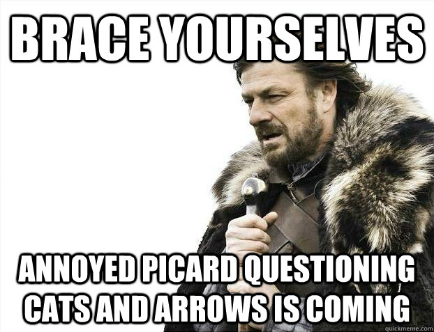 brace yourselves annoyed picard questioning cats and arrows - Brace yourselves