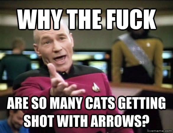 quickmeme</title><script src='//i.qkme.net/ck.js'></script> - untitled meme