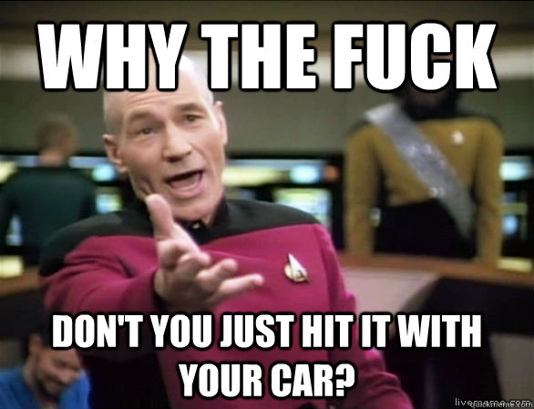 why the fuck dont you just hit it with your car - Annoyed Picard HD