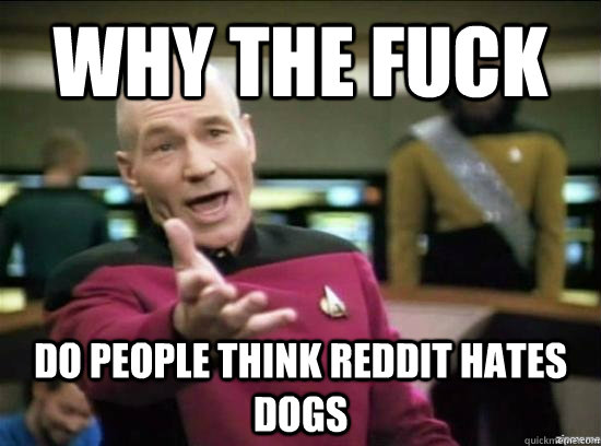 why the fuck do people think reddit hates dogs - why the fuck picard