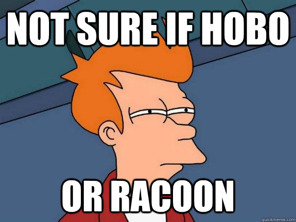 not sure if hobo or racoon - Futurama Fry